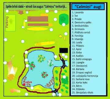 Фото номера Дом для отпуска Дома для отпуска Brīvdienu māja "Celmiņi" г. Аглона 33